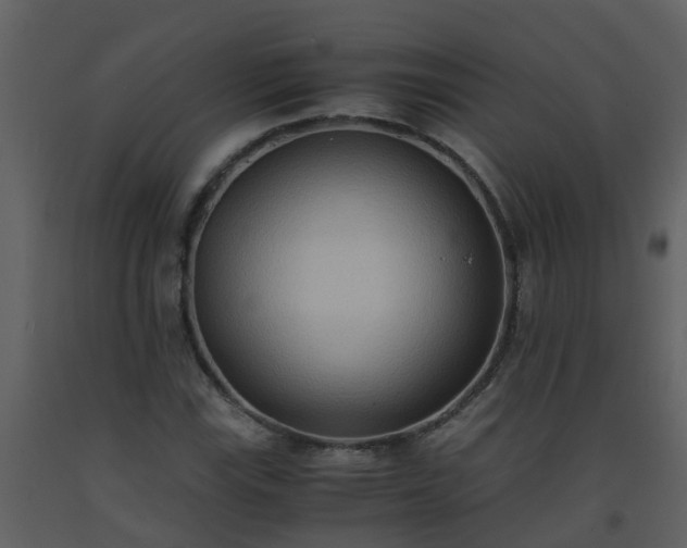 X0000093591115200710221518