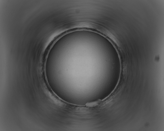 X0000093591116200710221518