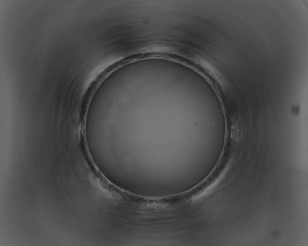 X0000093591117200710221518