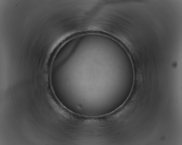 X0000093591118200710221518