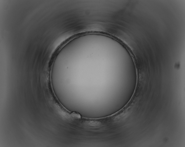 X0000093591119200710221518
