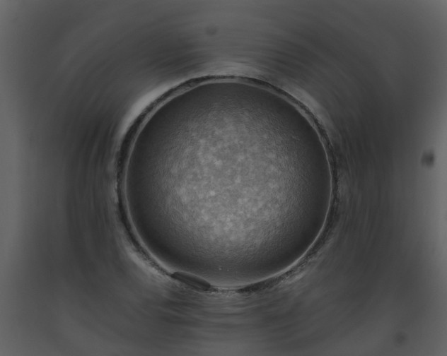 X0000093591120200710221518