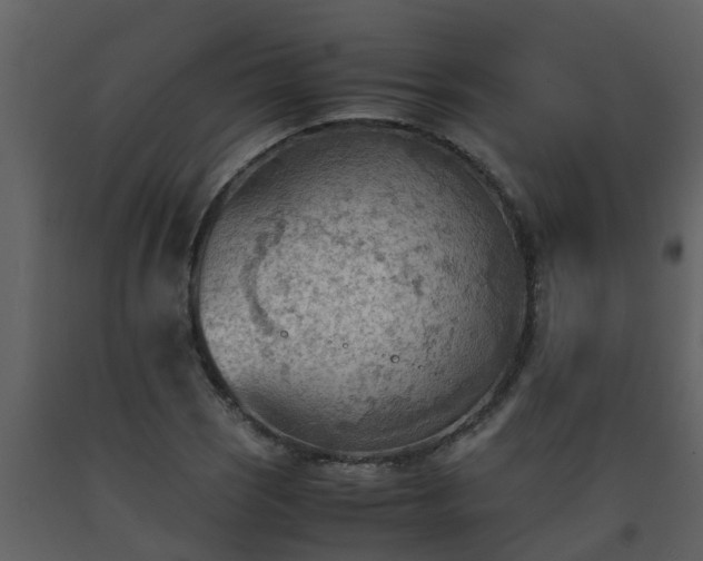 X0000093591121200710221518