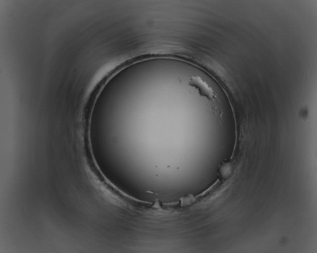 X0000093591122200710221518