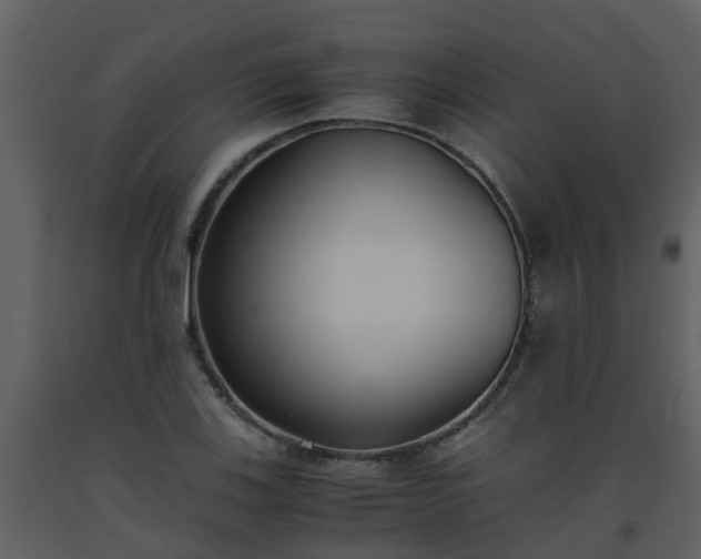 X0000093591123200710221518