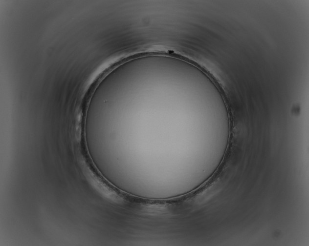 X0000093591126200710221518