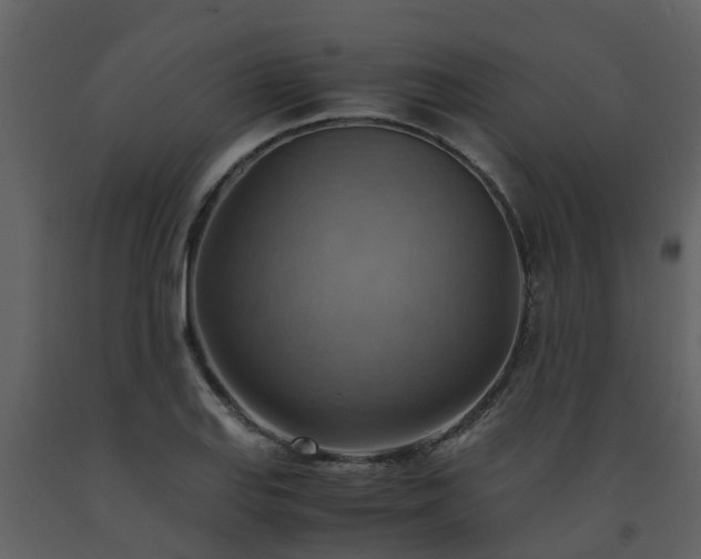 X0000093591127200710221518