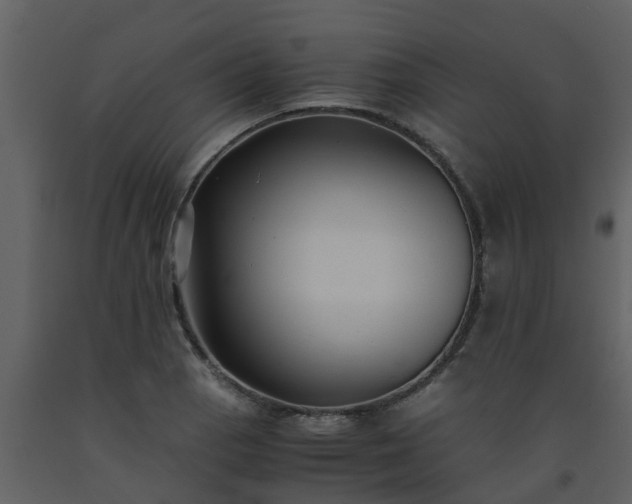 X0000093591129200710221518