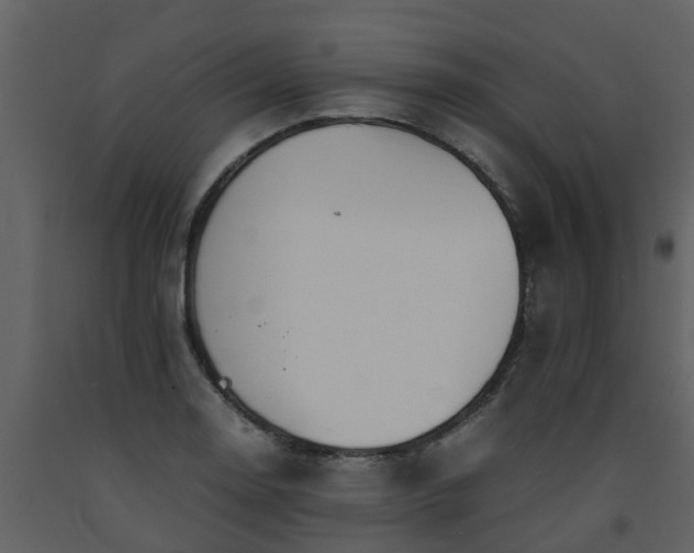 X0000093591130200710221518