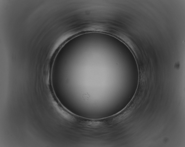 X0000093591131200710221518