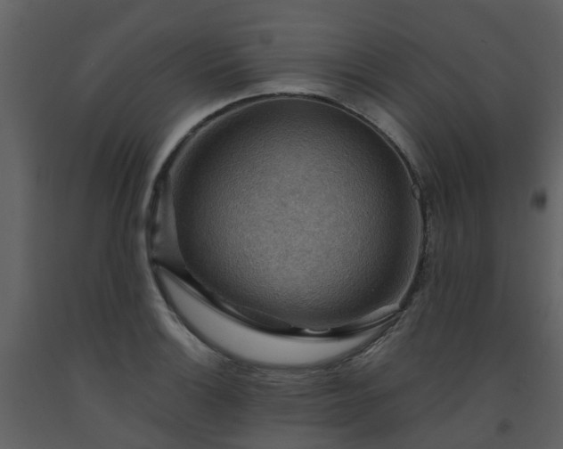 X0000093591132200710221518