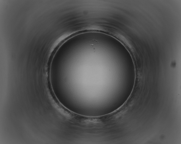 X0000093591133200710221518