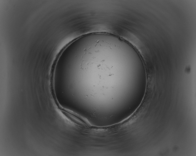 X0000093591135200710221518