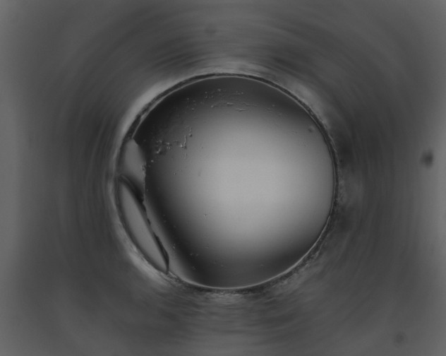 X0000093591136200710221518