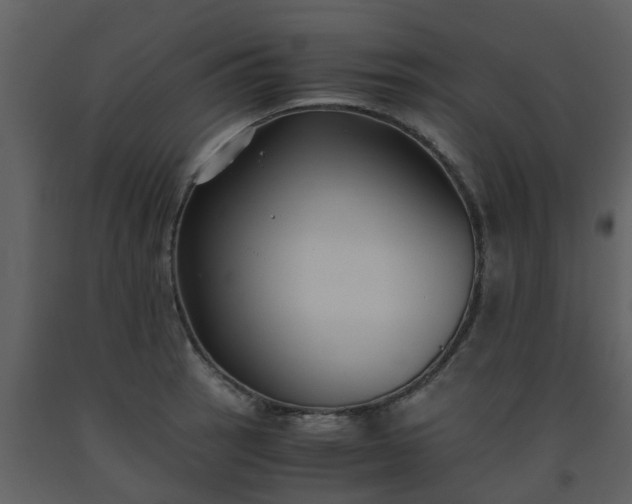 X0000093591137200710221518