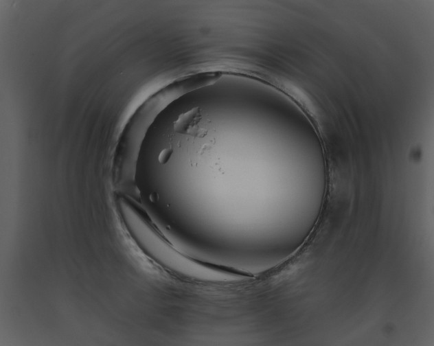 X0000093591138200710221518