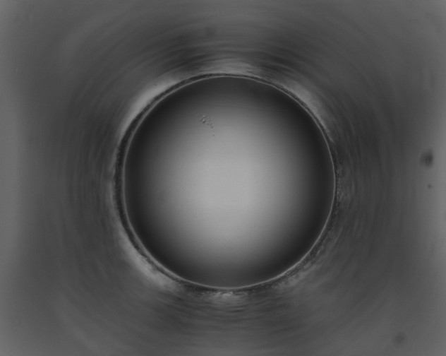 X0000093591139200710221518