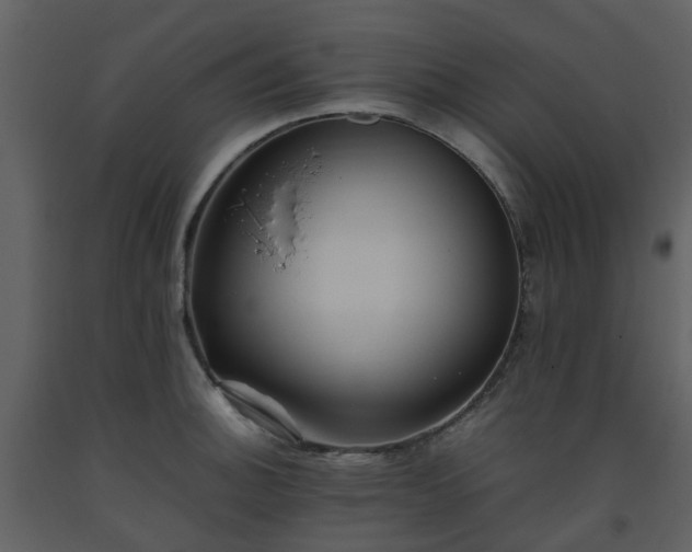 X0000093591140200710221518