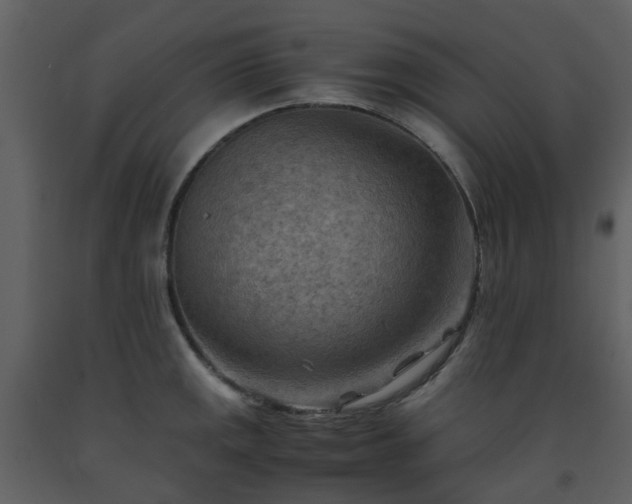 X0000093591141200710221518