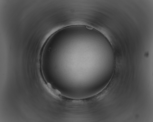 X0000093591142200710221518
