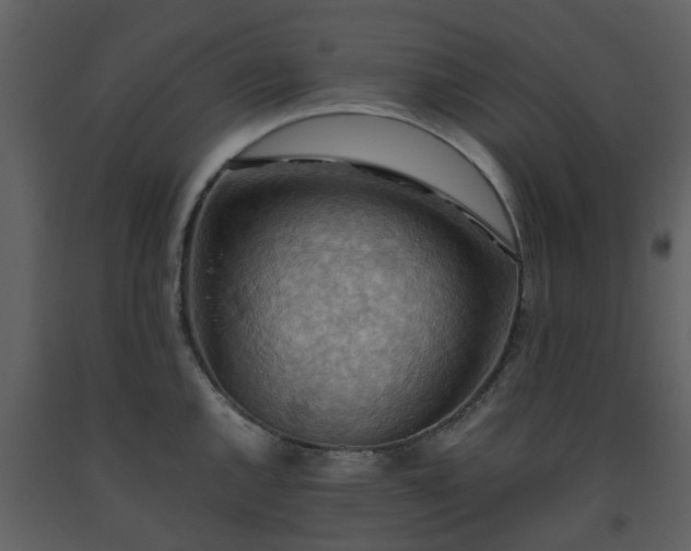 X0000093591144200710221518