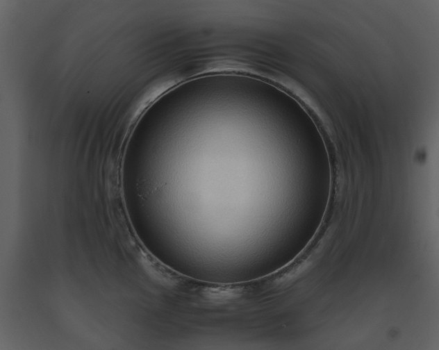 X0000093591145200710221518