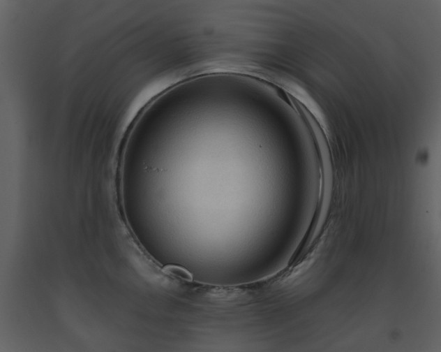 X0000093591146200710221518