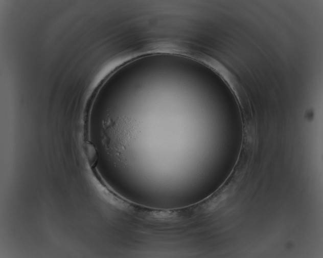 X0000093591147200710221518