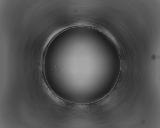 X0000093591148200710221518