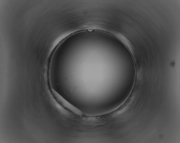 X0000093591149200710221518