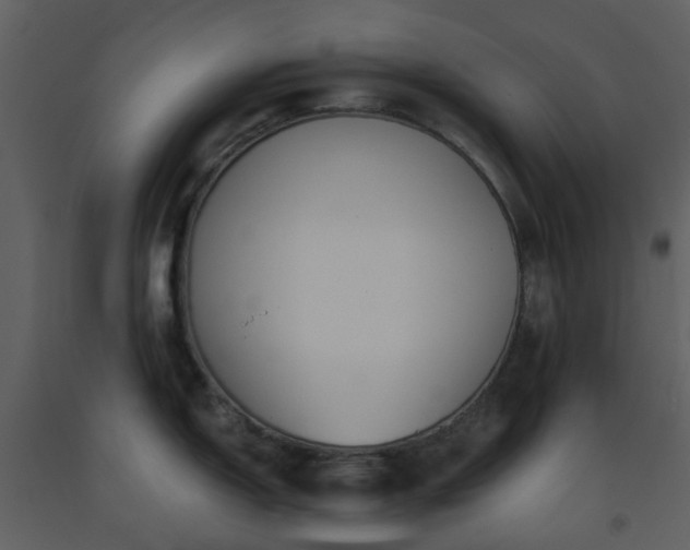 X0000093591150200710221518