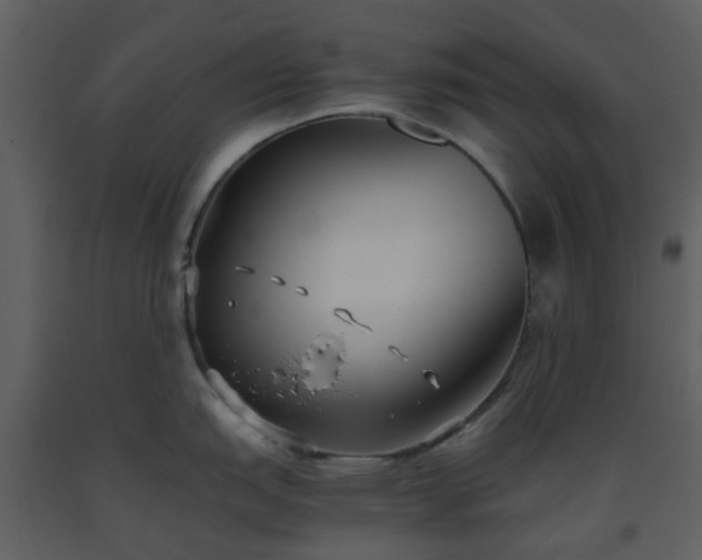 X0000093591151200710221518