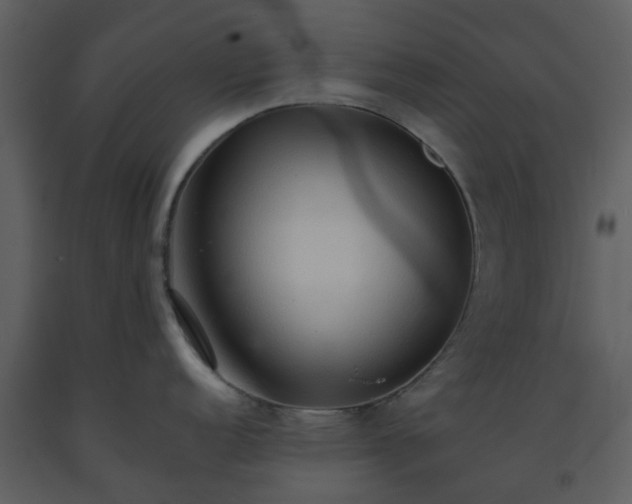X0000093591152200710221518