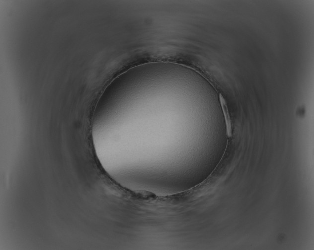 X0000093591153200710221518