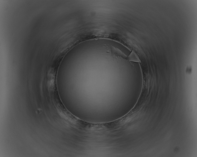 X0000093591154200710221518