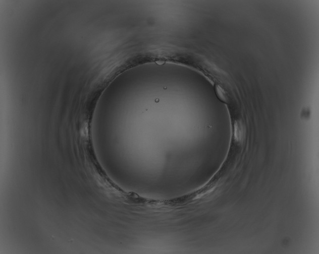 X0000093591155200710221518