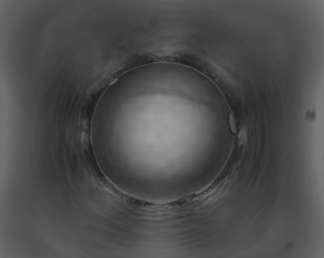 X0000093591156200710221518
