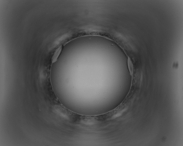 X0000093591157200710221517