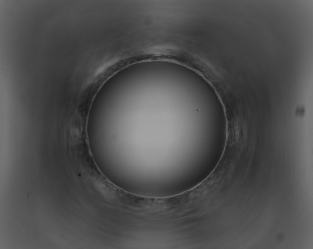 X0000093591158200710221517