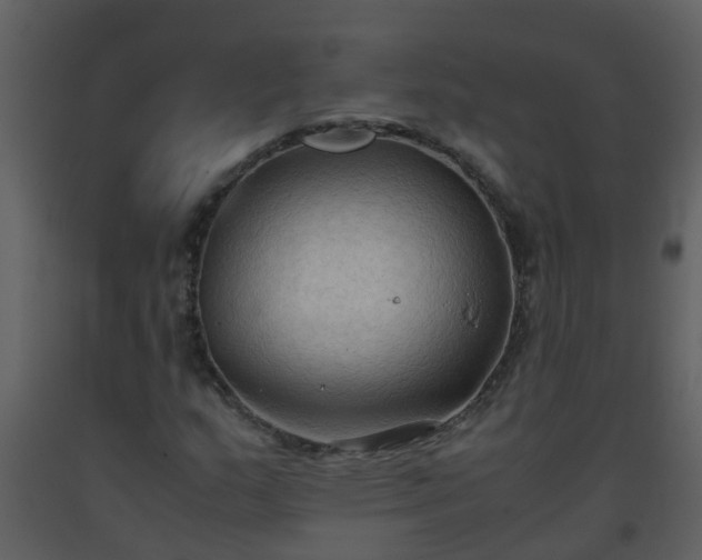 X0000093591159200710221517