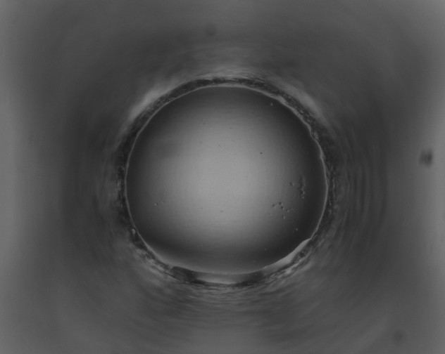 X0000093591160200710221517