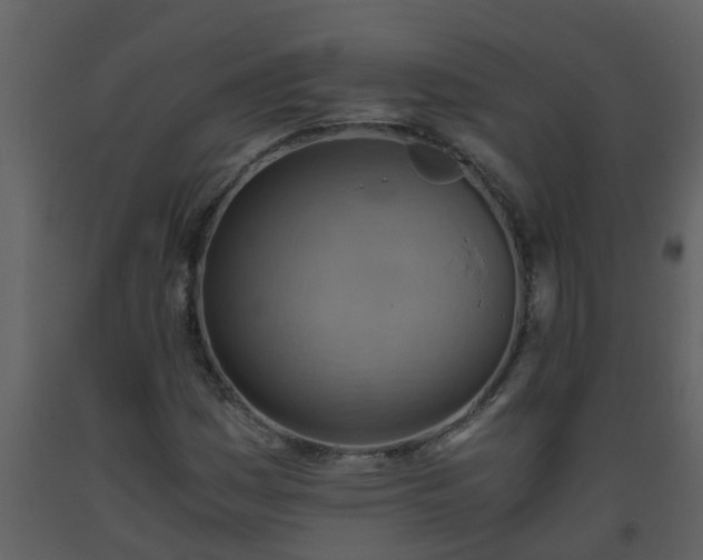 X0000093591161200710221517