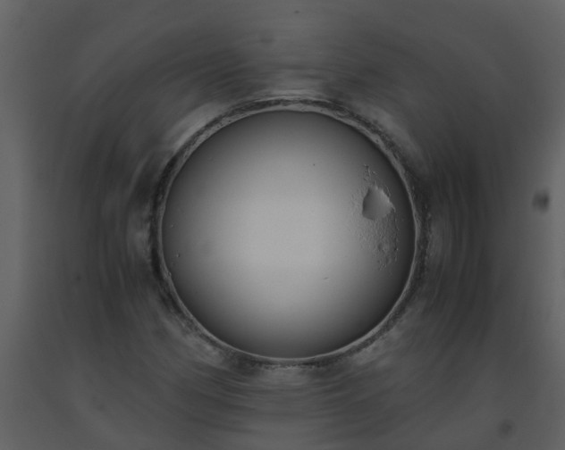 X0000093591162200710221517