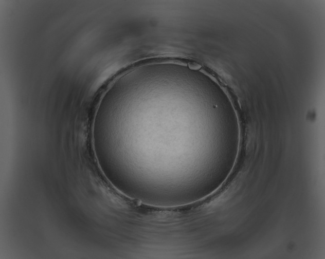 X0000093591163200710221517