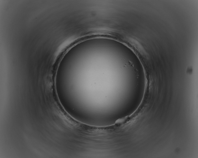 X0000093591164200710221517