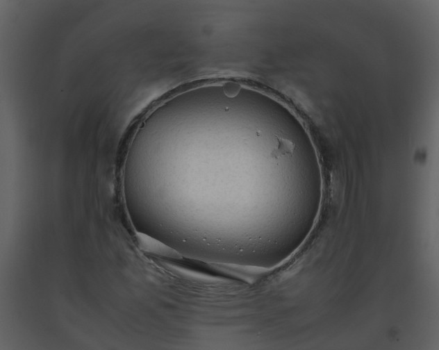 X0000093591165200710221517