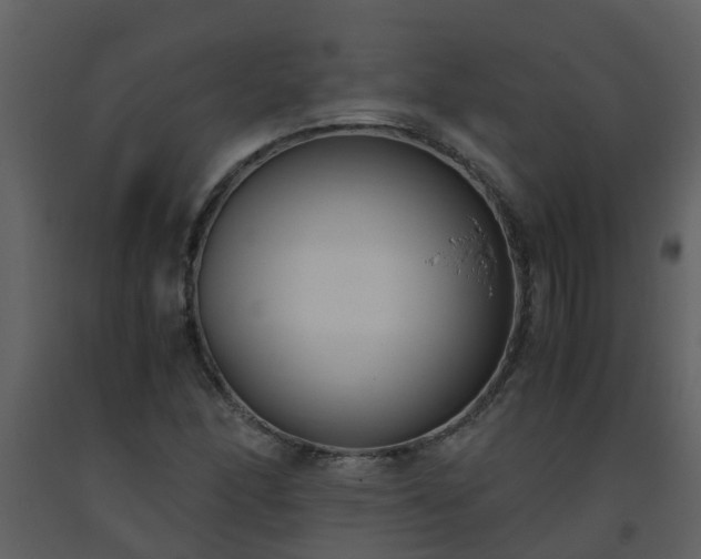 X0000093591166200710221517