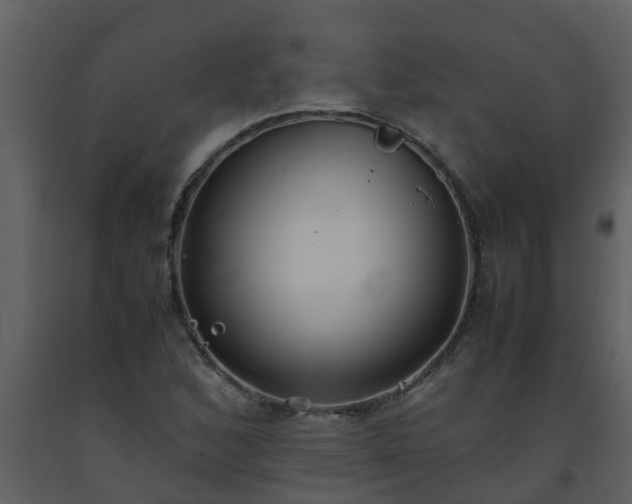 X0000093591168200710221517