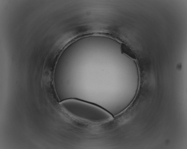 X0000093591169200710221517