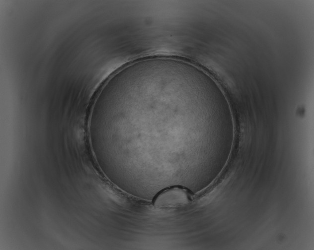 X0000093591170200710221517